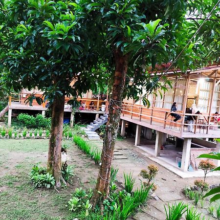Bua Guesthouse Tangkahan Luaran gambar