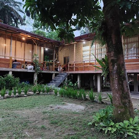 Bua Guesthouse Tangkahan Luaran gambar