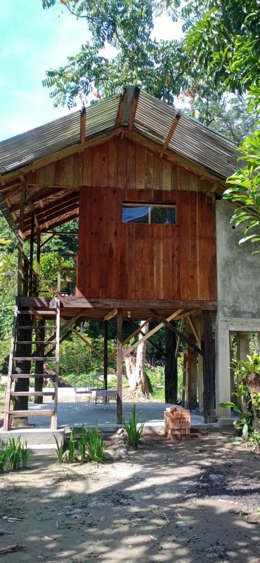 Bua Guesthouse Tangkahan Luaran gambar