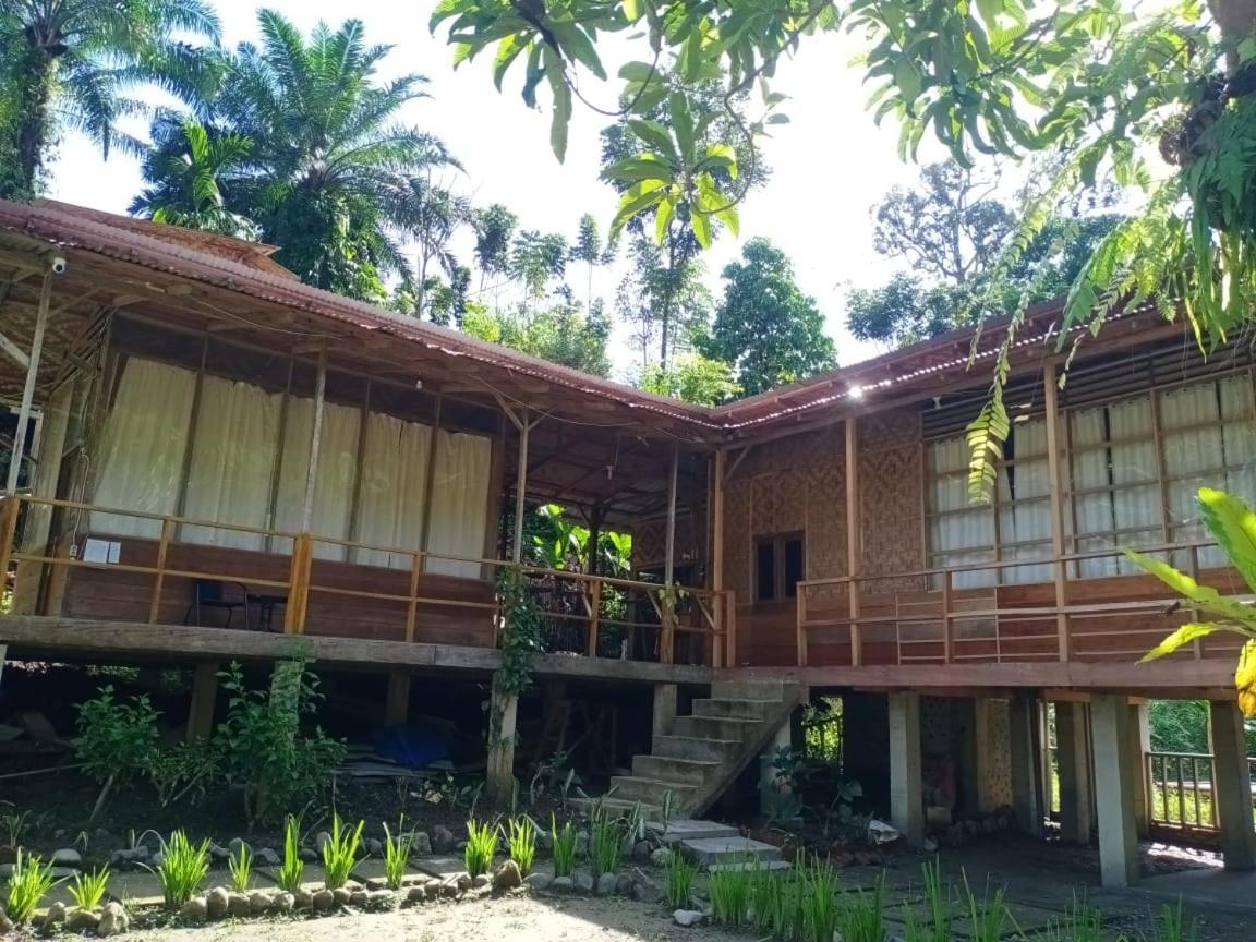 Bua Guesthouse Tangkahan Luaran gambar