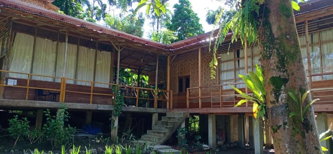 Bua Guesthouse Tangkahan Luaran gambar