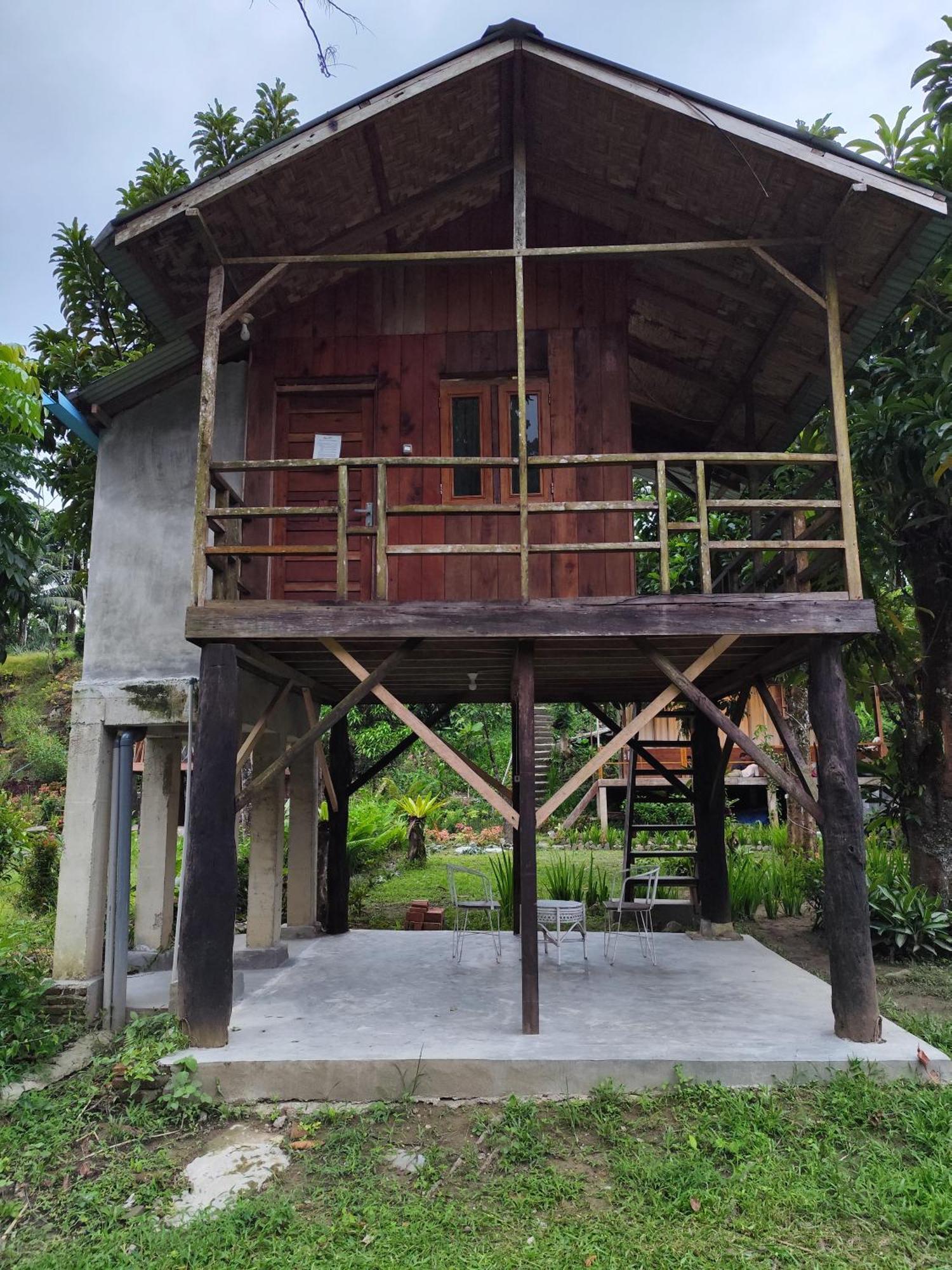 Bua Guesthouse Tangkahan Luaran gambar