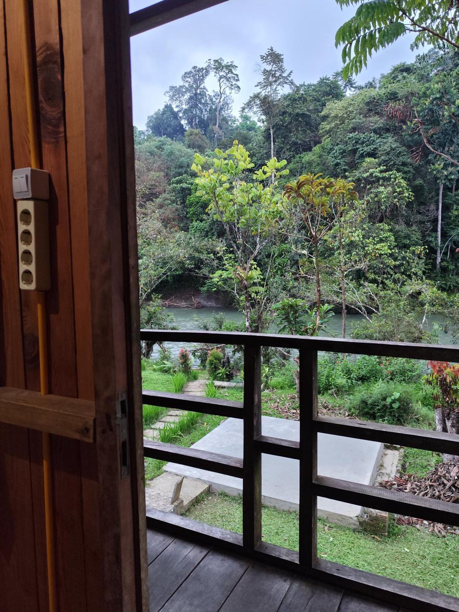 Bua Guesthouse Tangkahan Luaran gambar