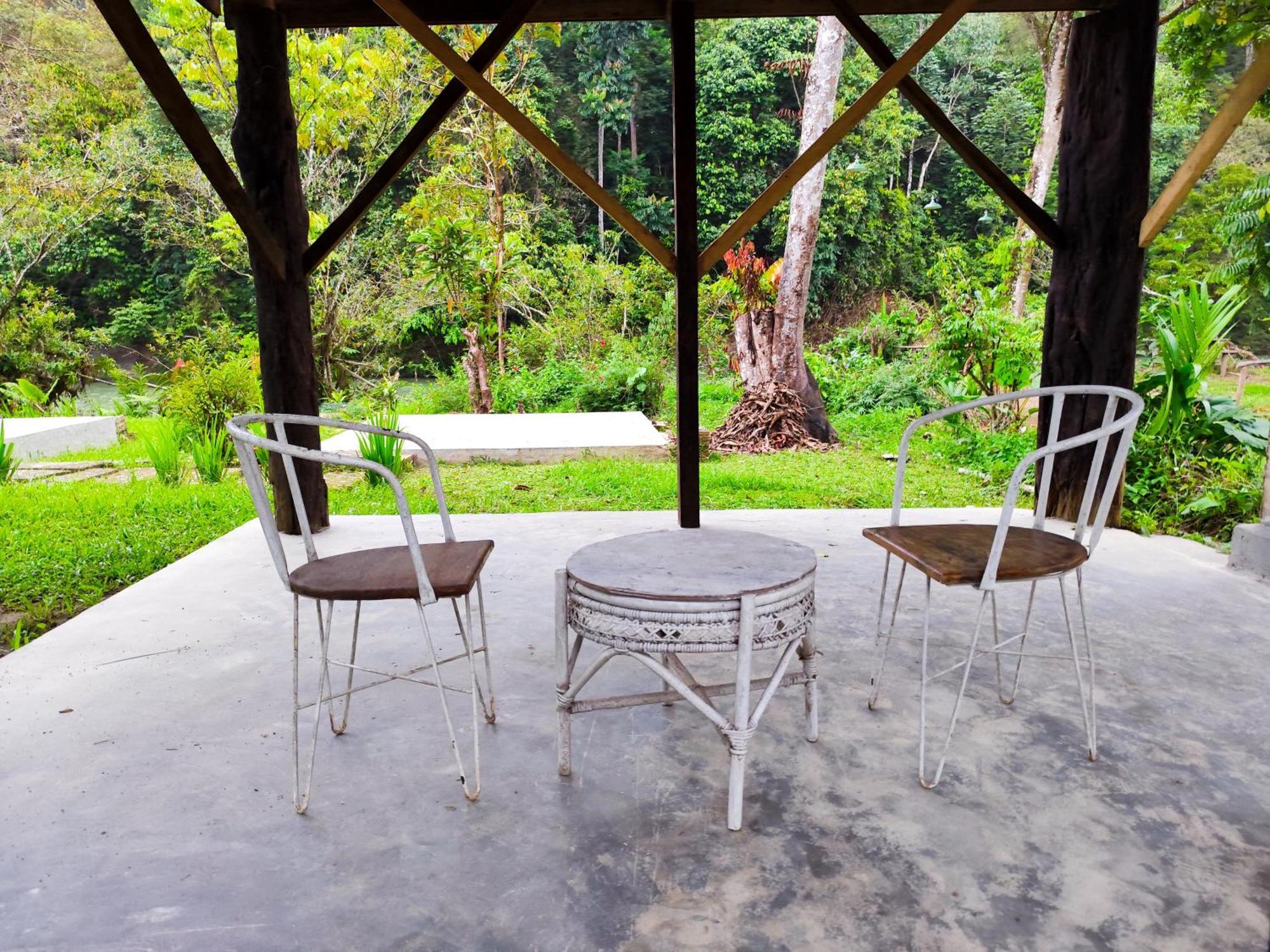 Bua Guesthouse Tangkahan Luaran gambar